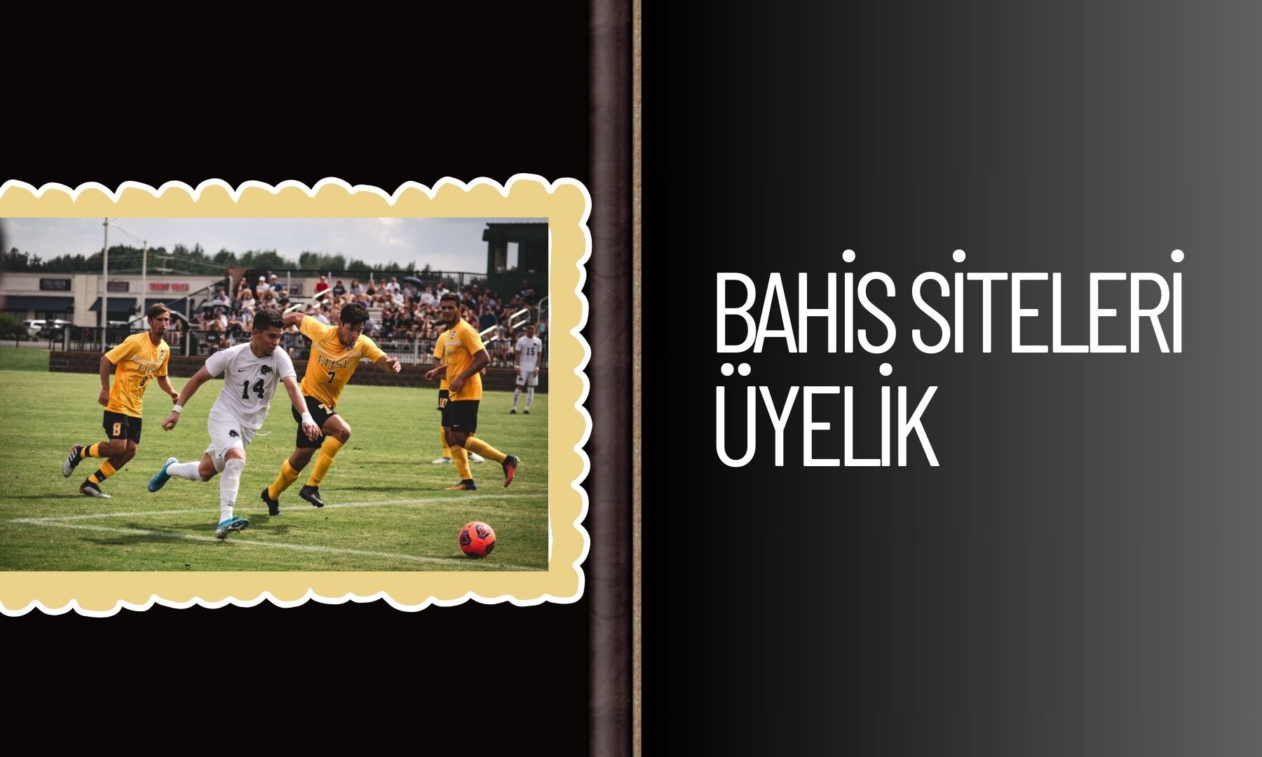 Bahis Siteleri Üyelik
